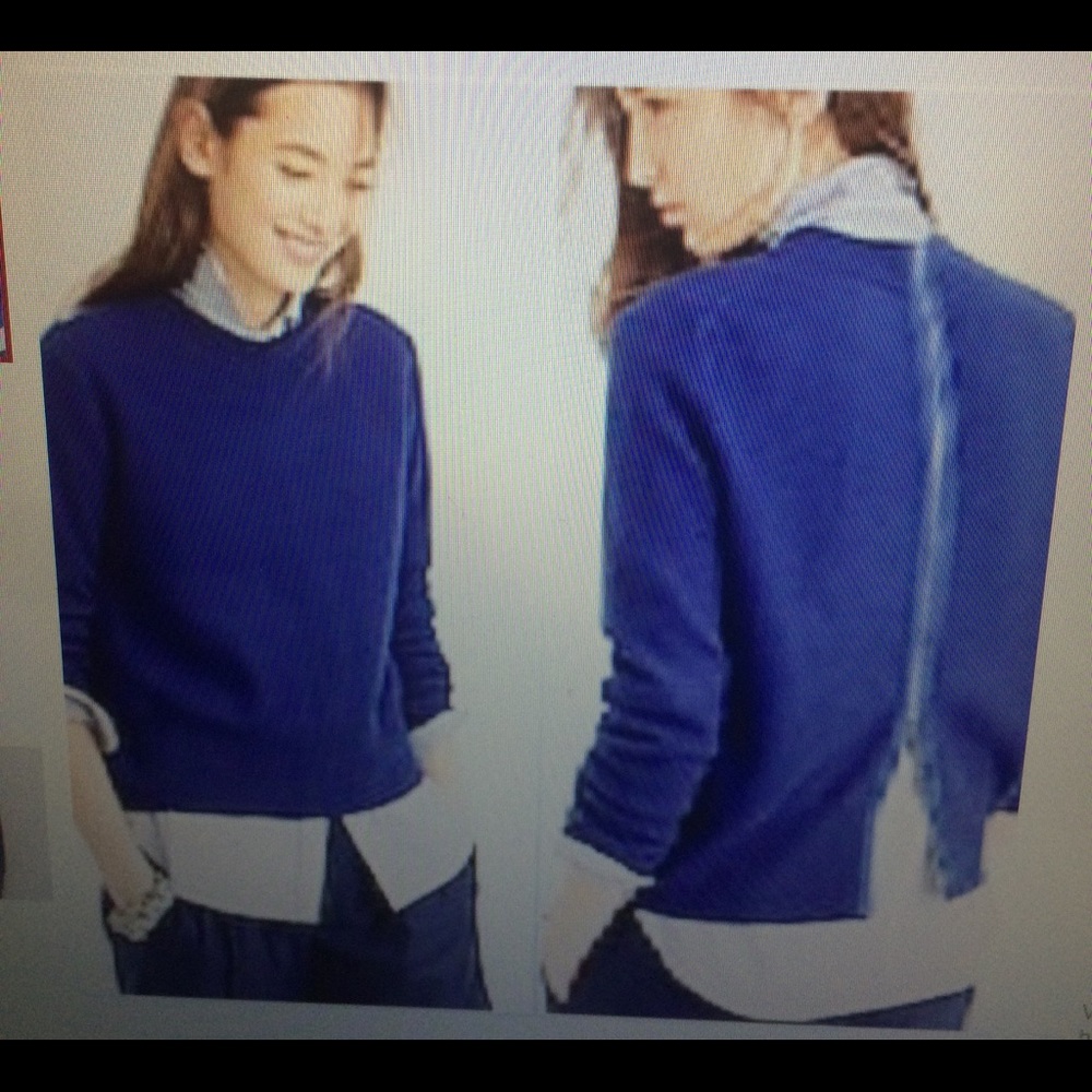 NWT - JCrew Wool Back Zip Sweater in Blue